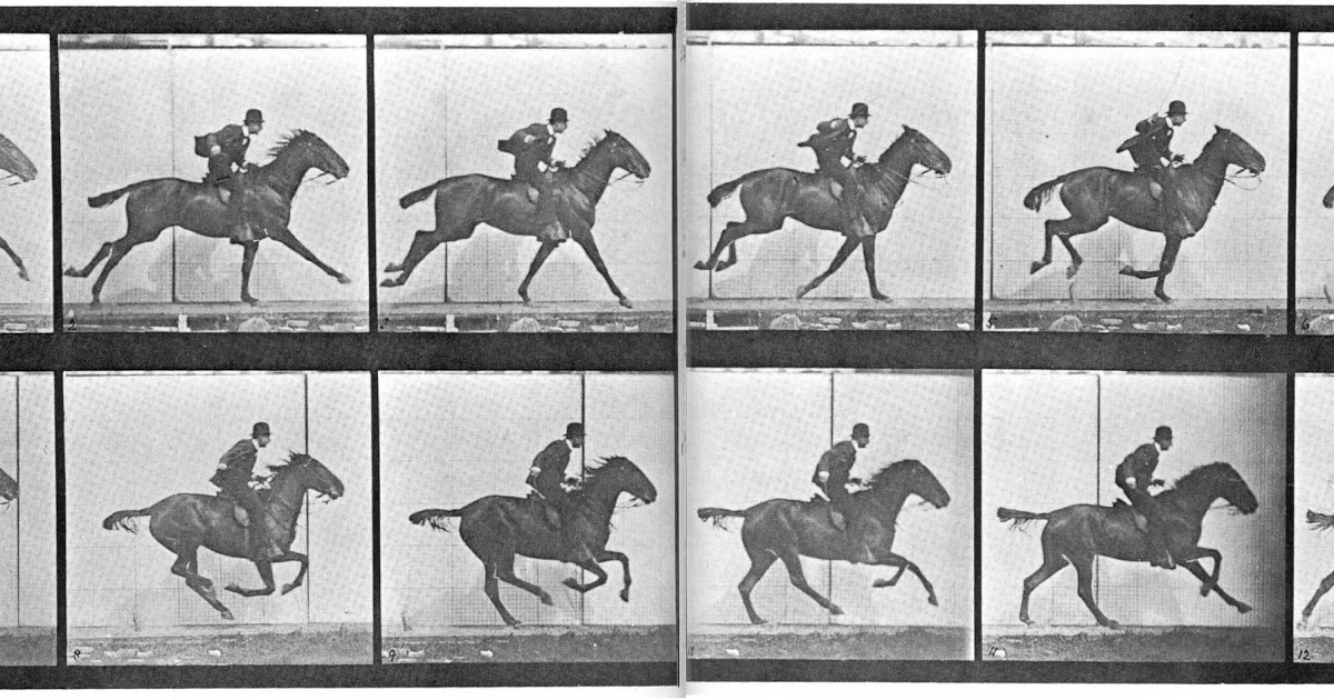 Galloping, GIFs and Genes: Geneticists Store Moving Image in Living Bacteria — Blog of the Long Now